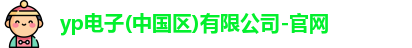 yp电子
